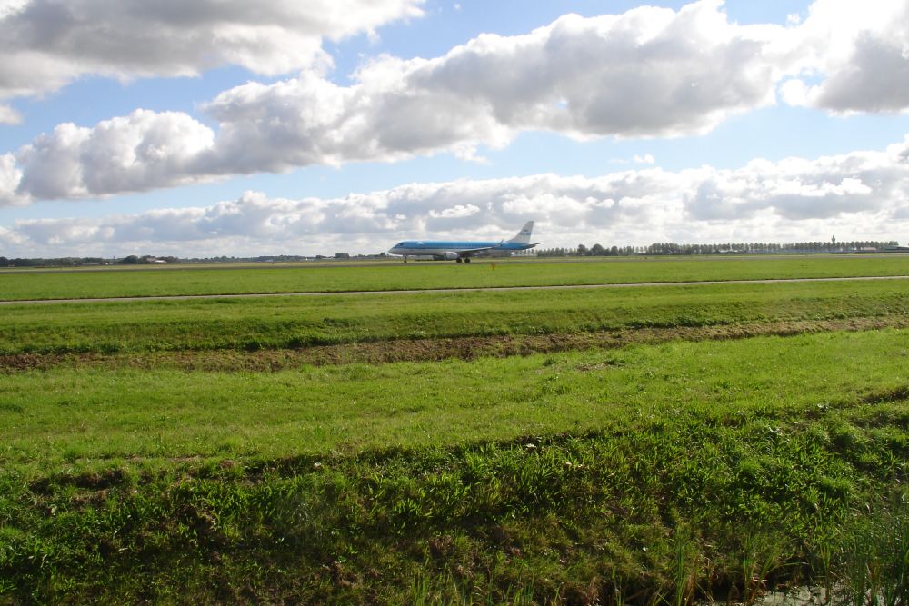 foto 30