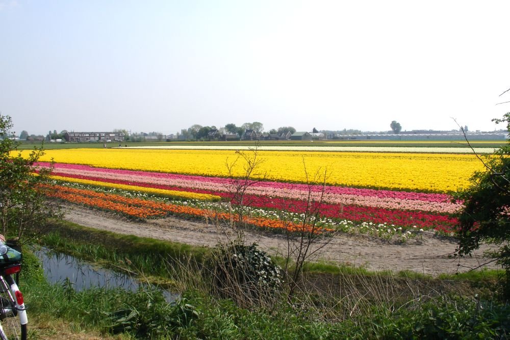 foto 37