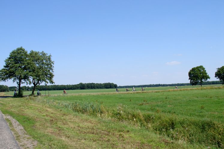 foto 22