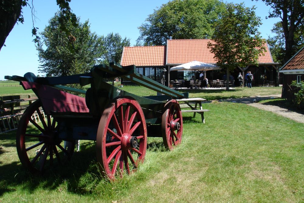 foto 100