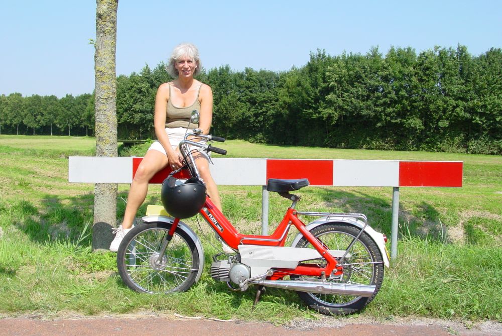 Frieslandrit foto 17