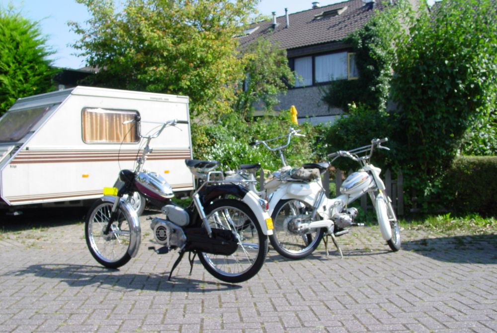 Frieslandrit foto 2