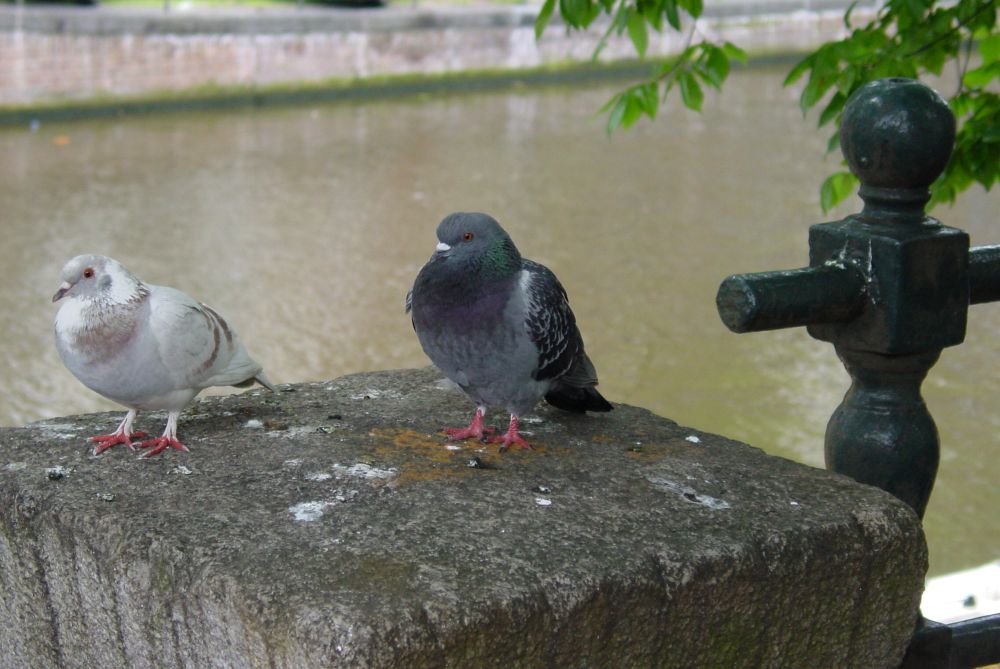 2e Puchnozem Meeting foto 57