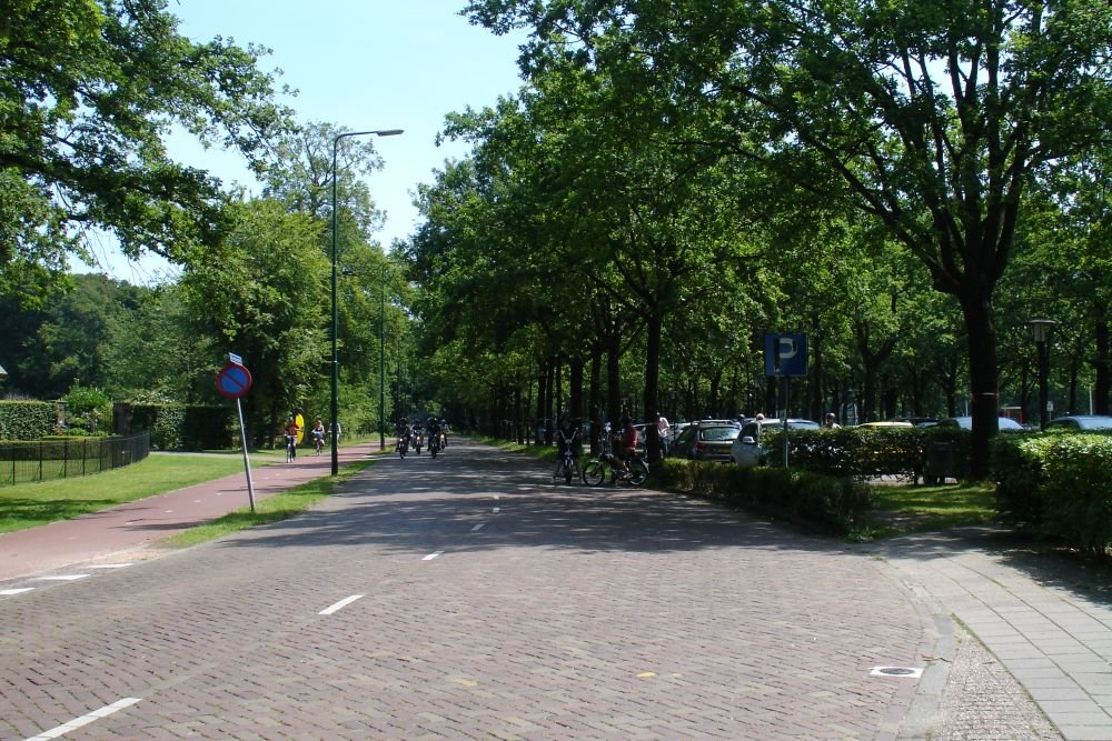 foto 13
