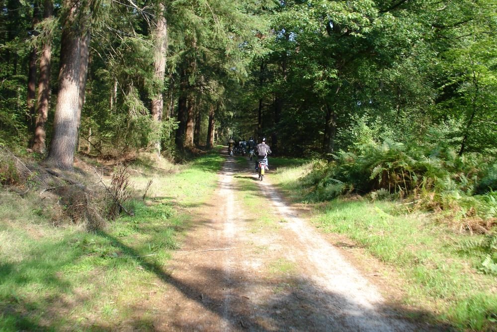 foto 13