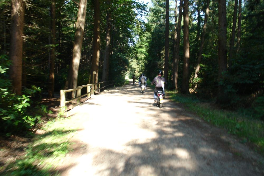 foto 15