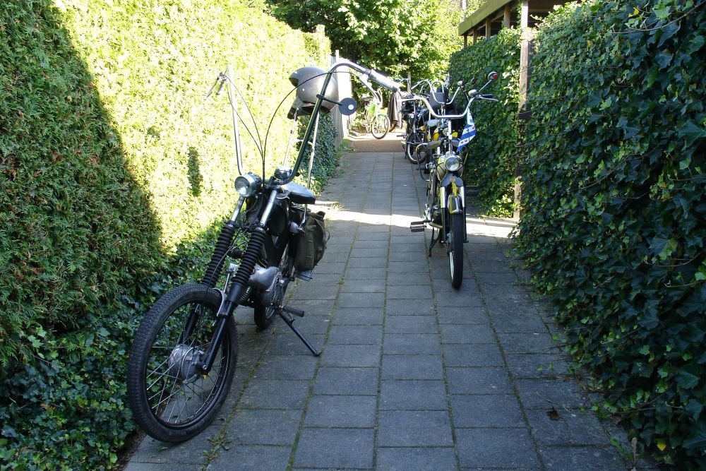 foto 15
