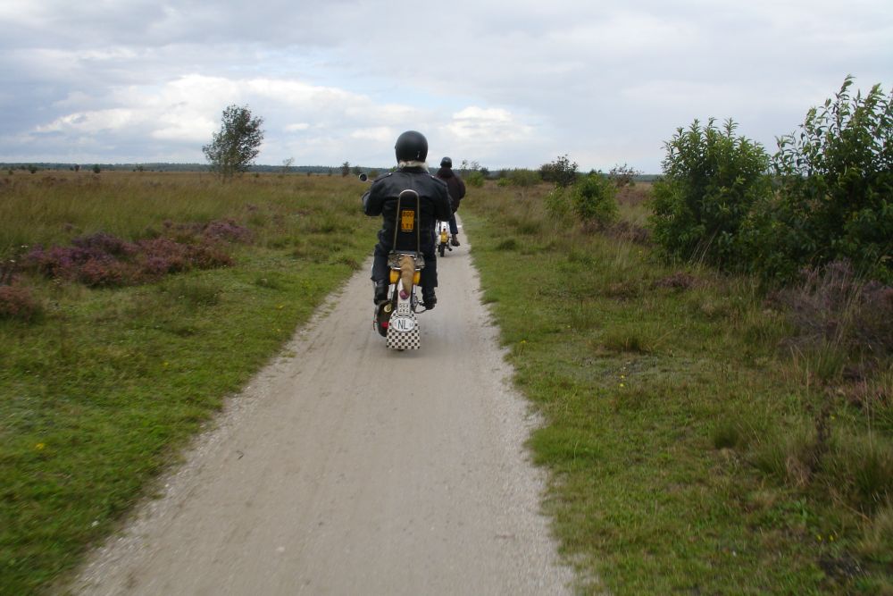 foto 25