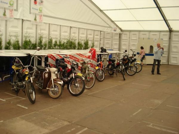 De Puchjes in het feestpaviljoen.