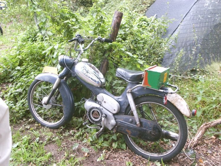 foto 201
