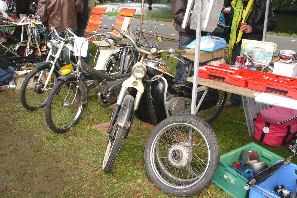 foto 6